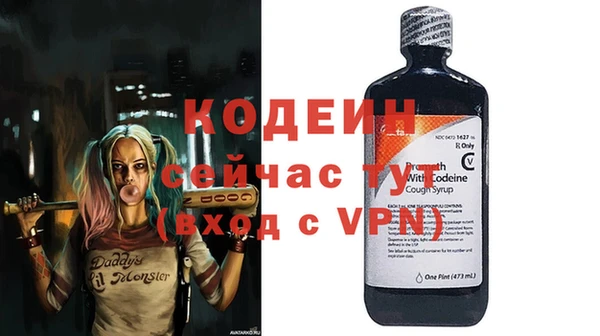 ГАЛЛЮЦИНОГЕННЫЕ ГРИБЫ Арсеньев