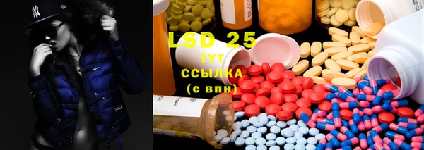 ГАЛЛЮЦИНОГЕННЫЕ ГРИБЫ Арсеньев