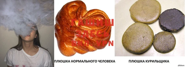 ГАЛЛЮЦИНОГЕННЫЕ ГРИБЫ Арсеньев