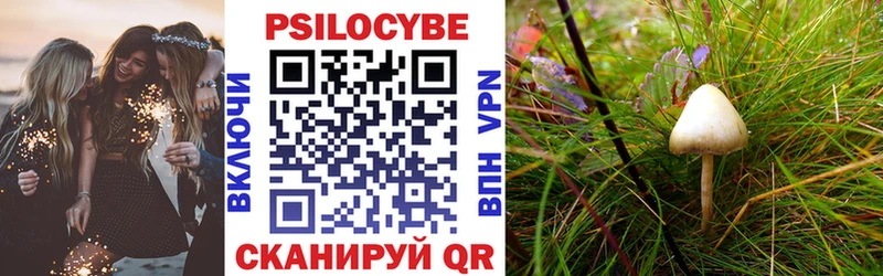 Псилоцибиновые грибы Cubensis Сунжа