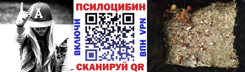 Псилоцибиновые грибы MAGIC MUSHROOMS  Купить где  Сунжа 